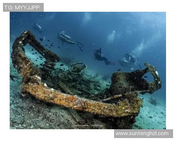 斯通斯的传奇旅程：从摇滚乐坛到全球文化的影响力探索