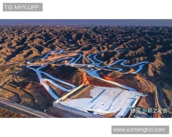 城市马拉松赛事分析：杭州攀岩队的战术布局与表现评析